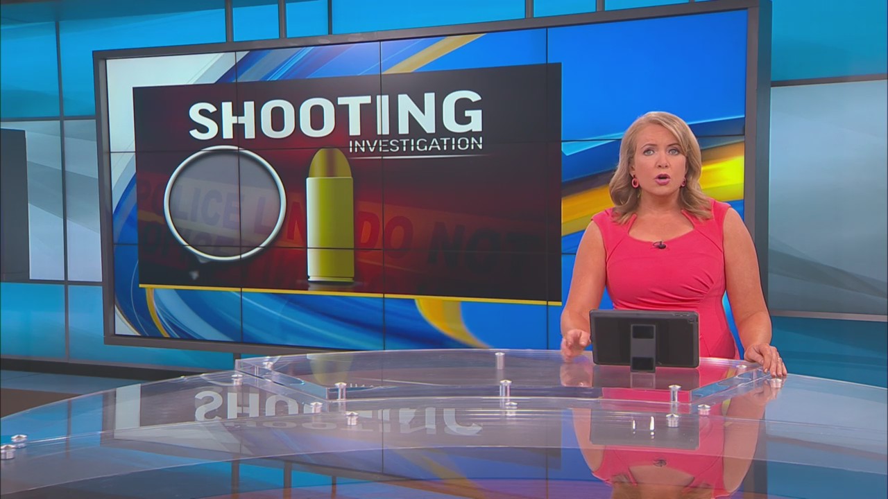2 hurt in overnight shooting near Longs; Horry County police ...