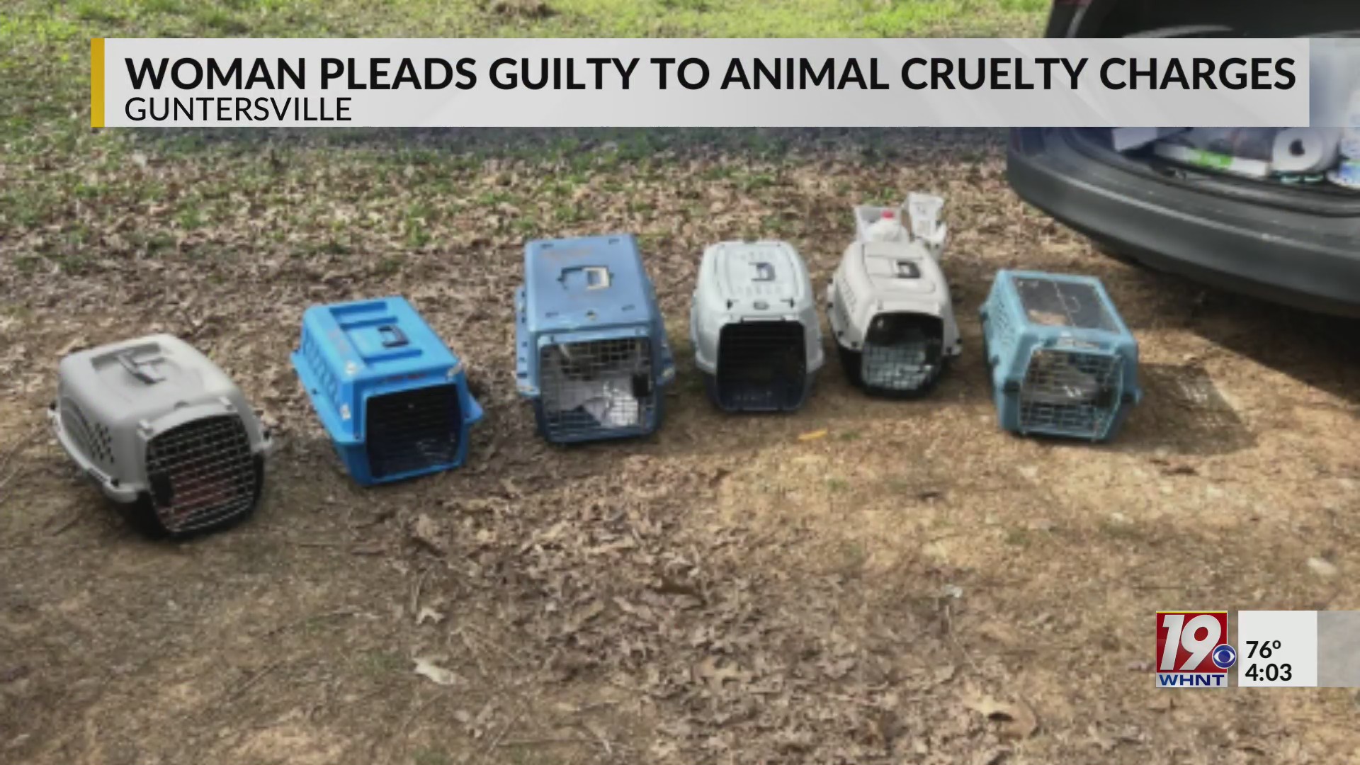 Woman Pleads Guilty To Animal Cruelty Charges | May 23, 2025 | News 19 ...