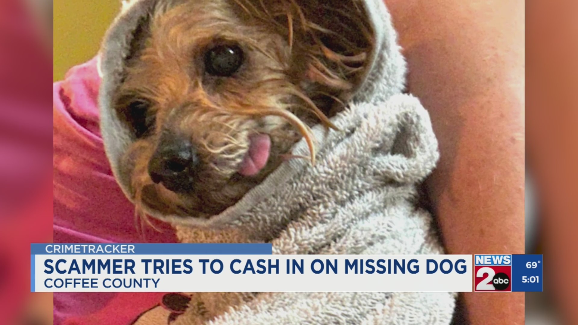 Scammer tries to cash in on missing dog in Coffee County – WKRN News 2
