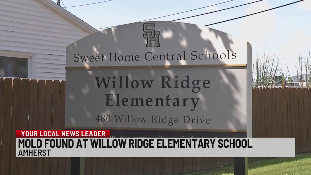 Principal of Willow Ridge elementary says school on track to open