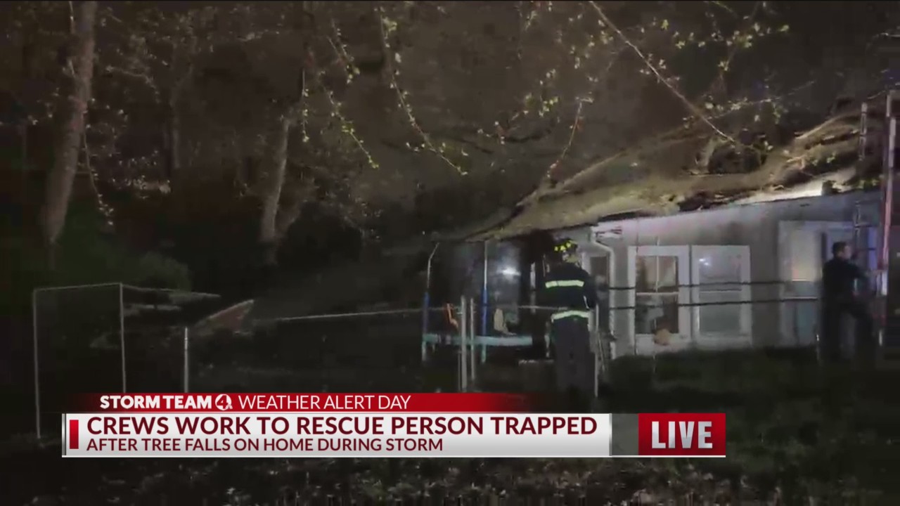 Person trapped after tree falls on home – NBC4 WCMH-TV