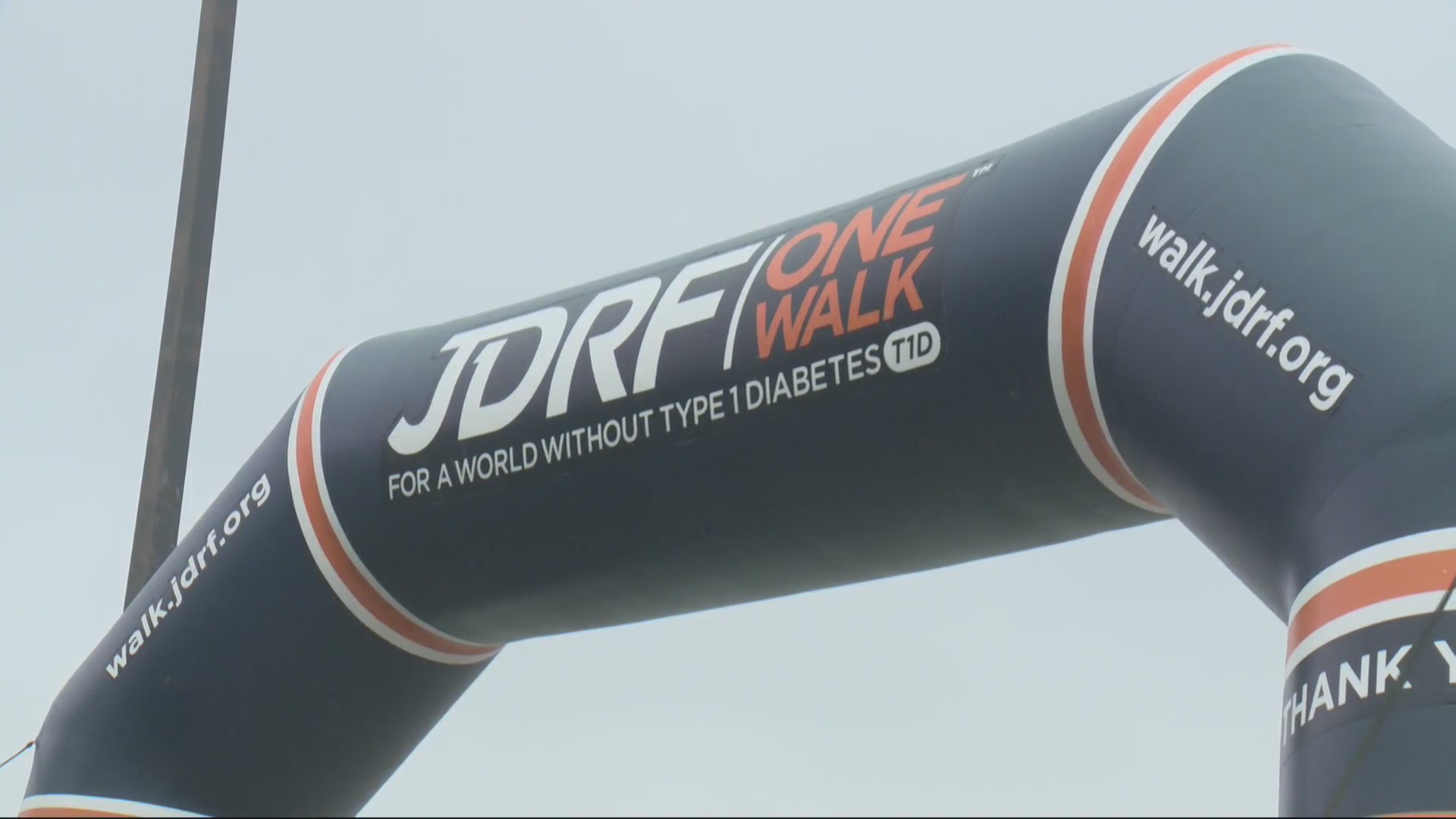 Taking steps toward finding cure for type one diabetes who13