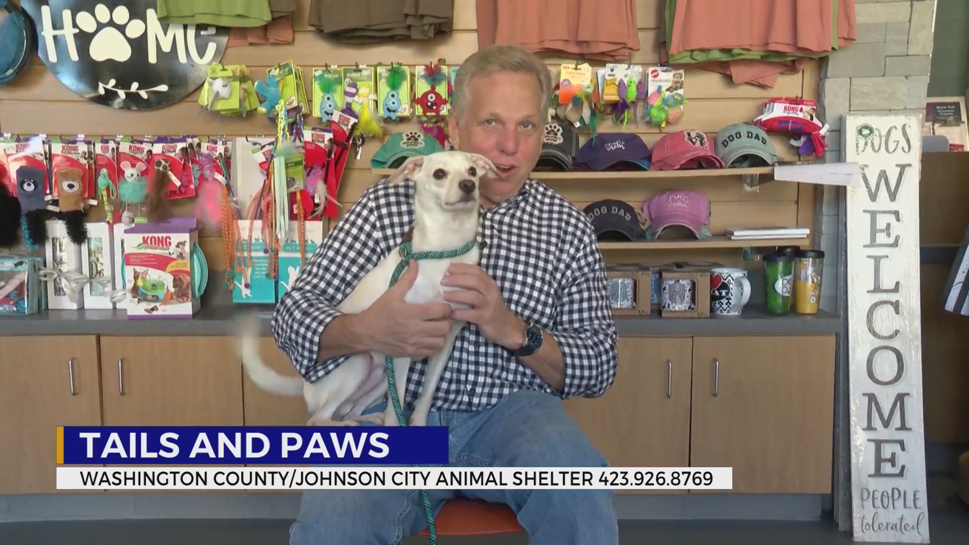 These pets are looking for a forever home – WJHL | Tri-Cities News ...