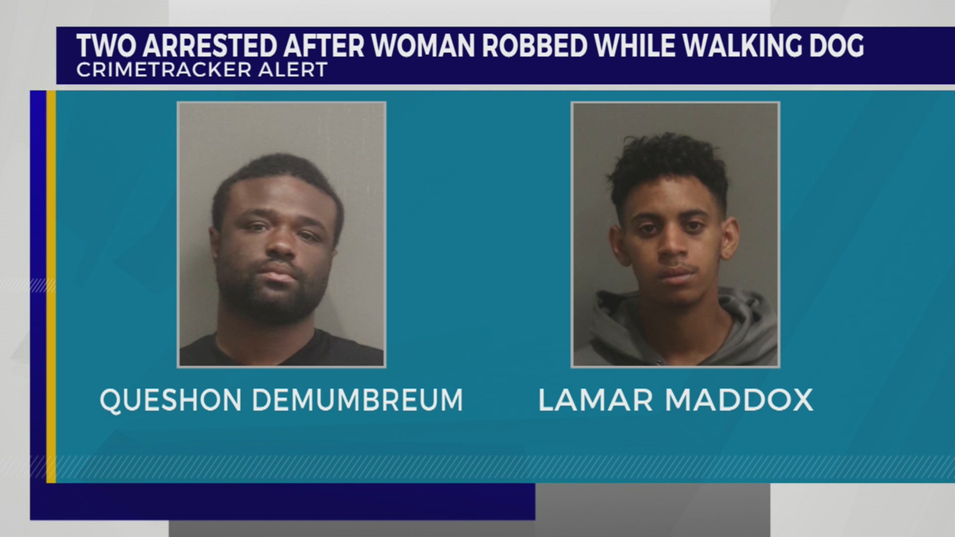 Woman attacked while walking dog in Bellevue – WKRN News 2