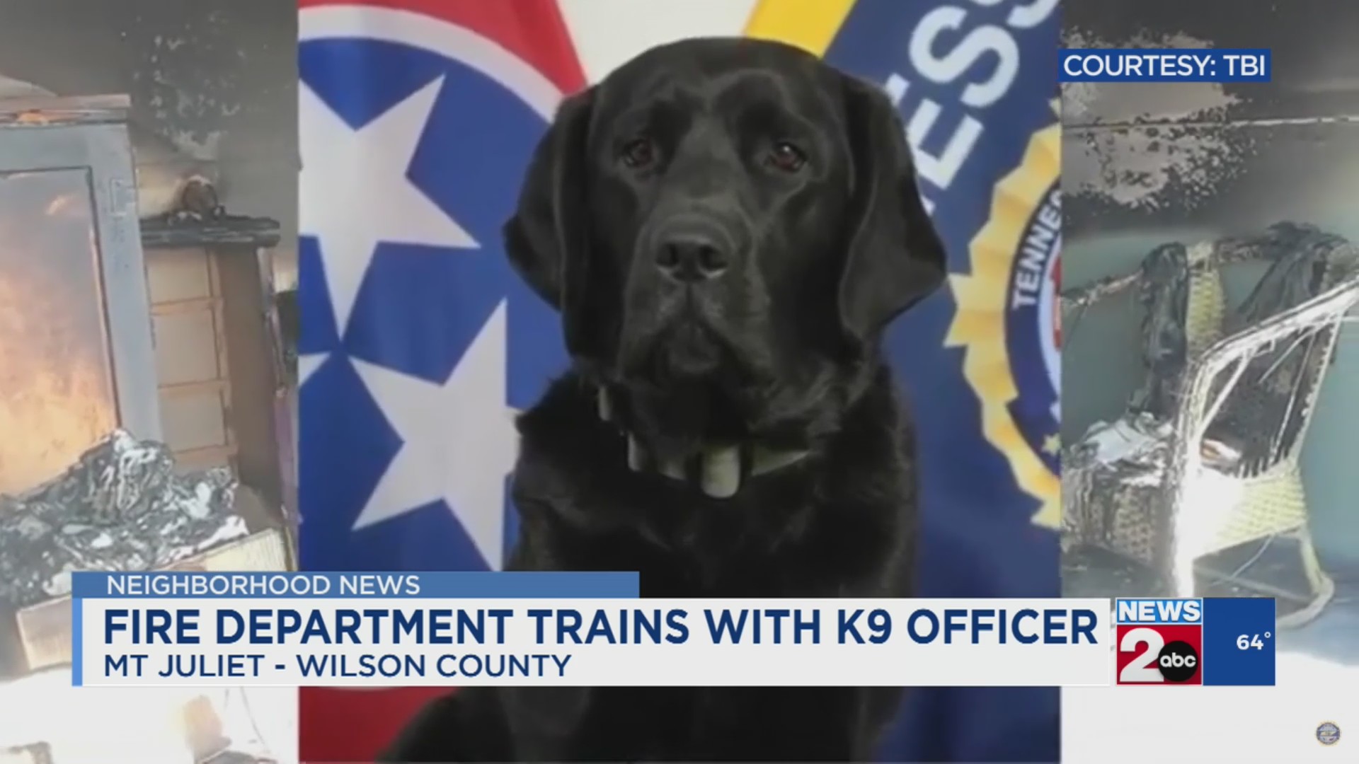 Fire department trains with K9 officer – WKRN News 2