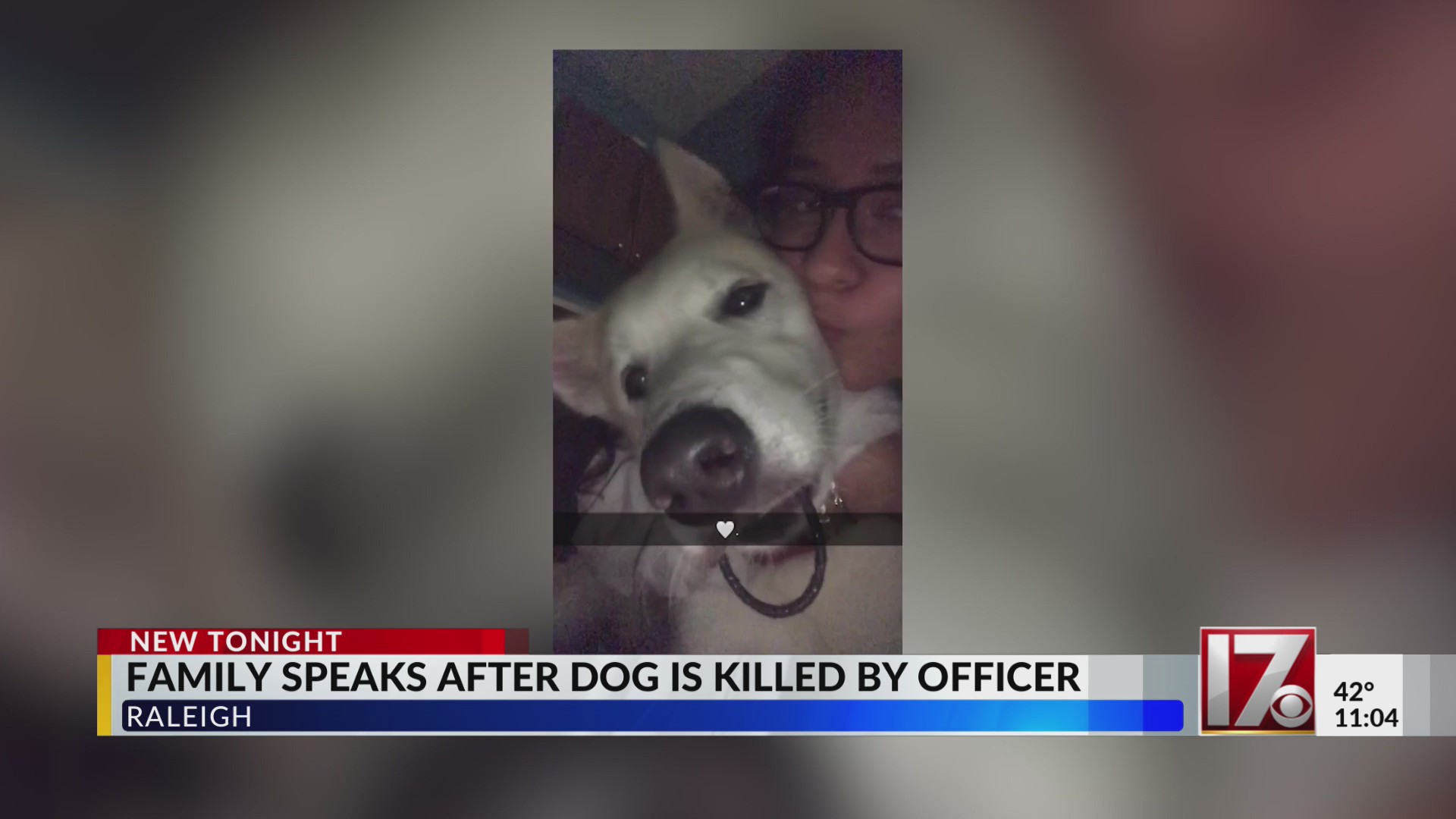 Family speaks out after dog shot, killed by Raleigh police officer ...