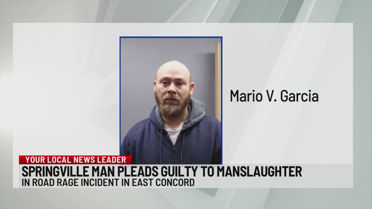Springville man pleads guilty to manslaughter in road rage incident ...