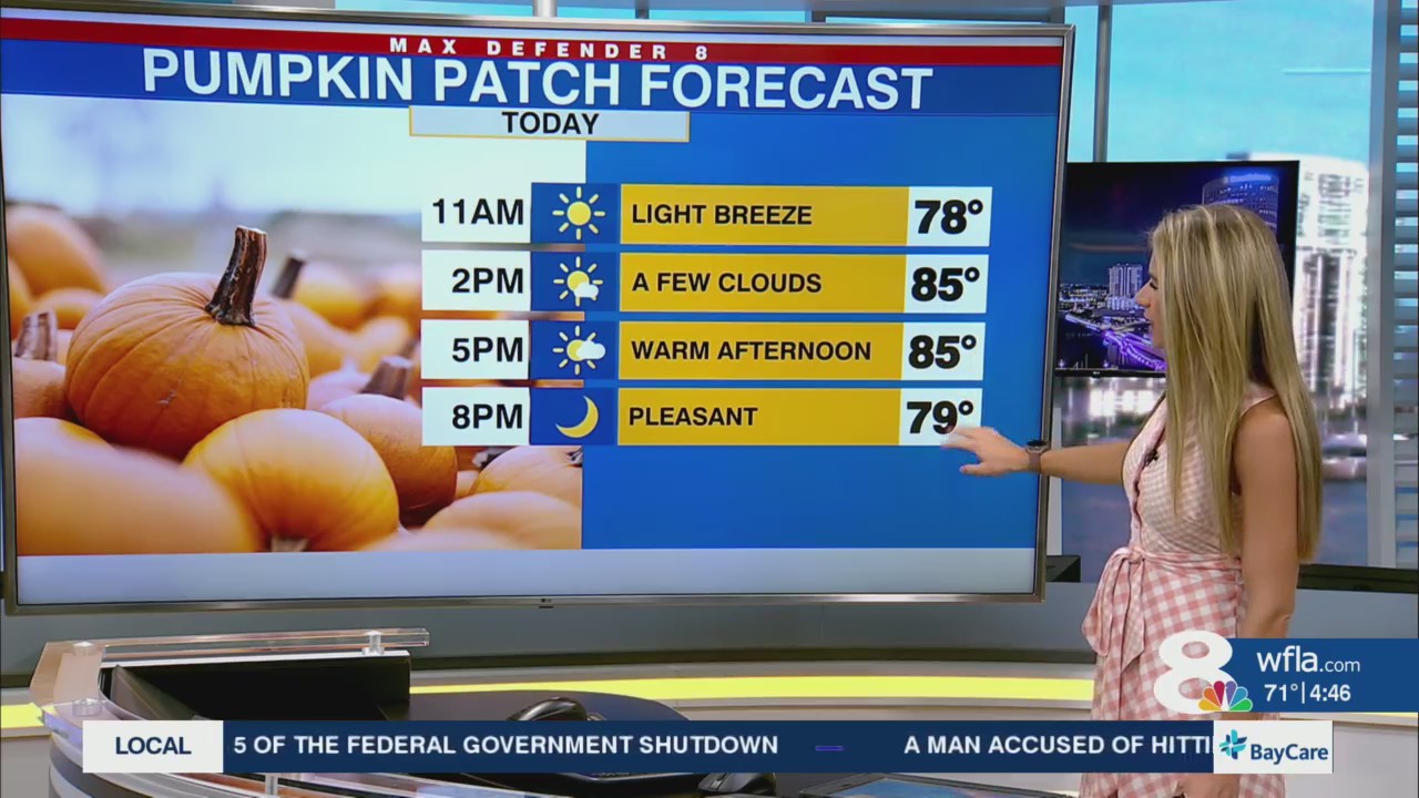 Plean Weather Pleasant weather sticks around for the rest of the week – WFLA