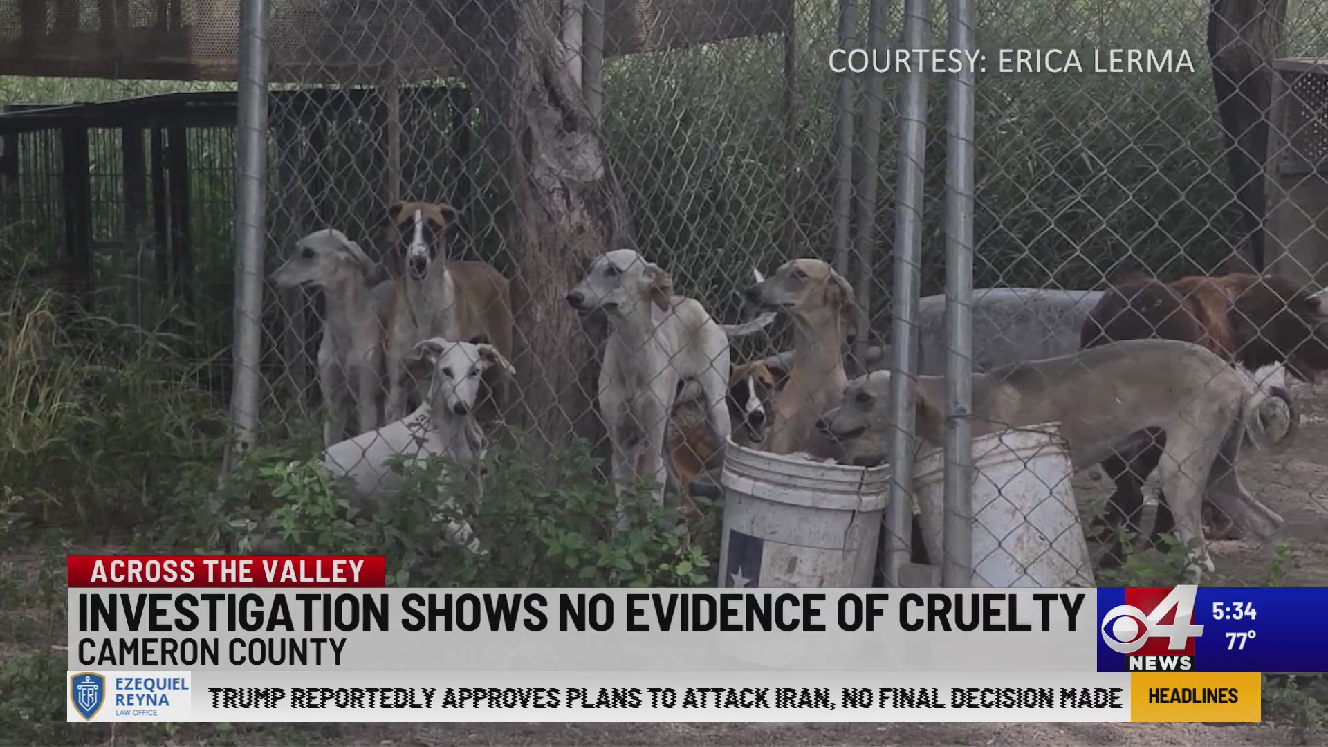 Investigation shows no evidence of animal cruelty – KVEO-TV