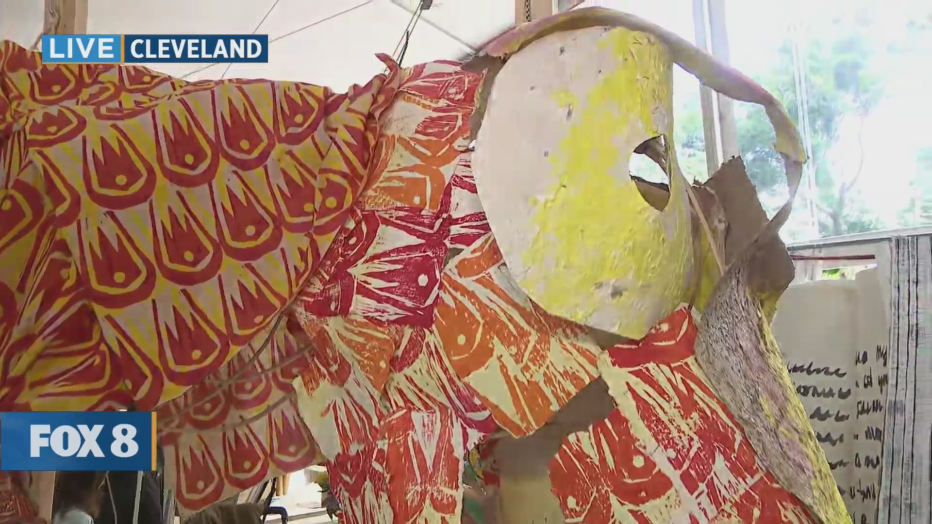 New Day Cleveland: Parade The Circle – Fox 8 Cleveland WJW