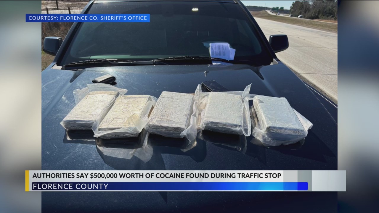 Georgia man arrested after Florence County deputy finds 11 pounds of ...