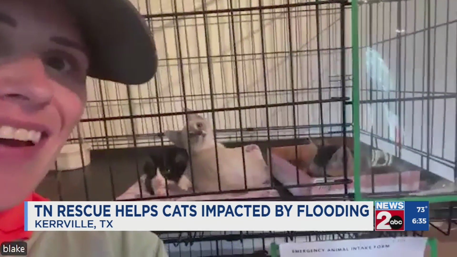 TN rescue helps cats impacted by flooding – WKRN News 2