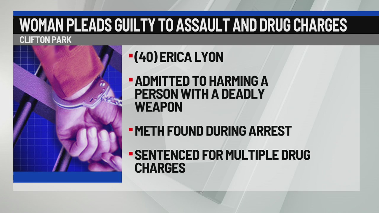 Woman pleads guilty to assault, drug charges – NEWS10 ABC