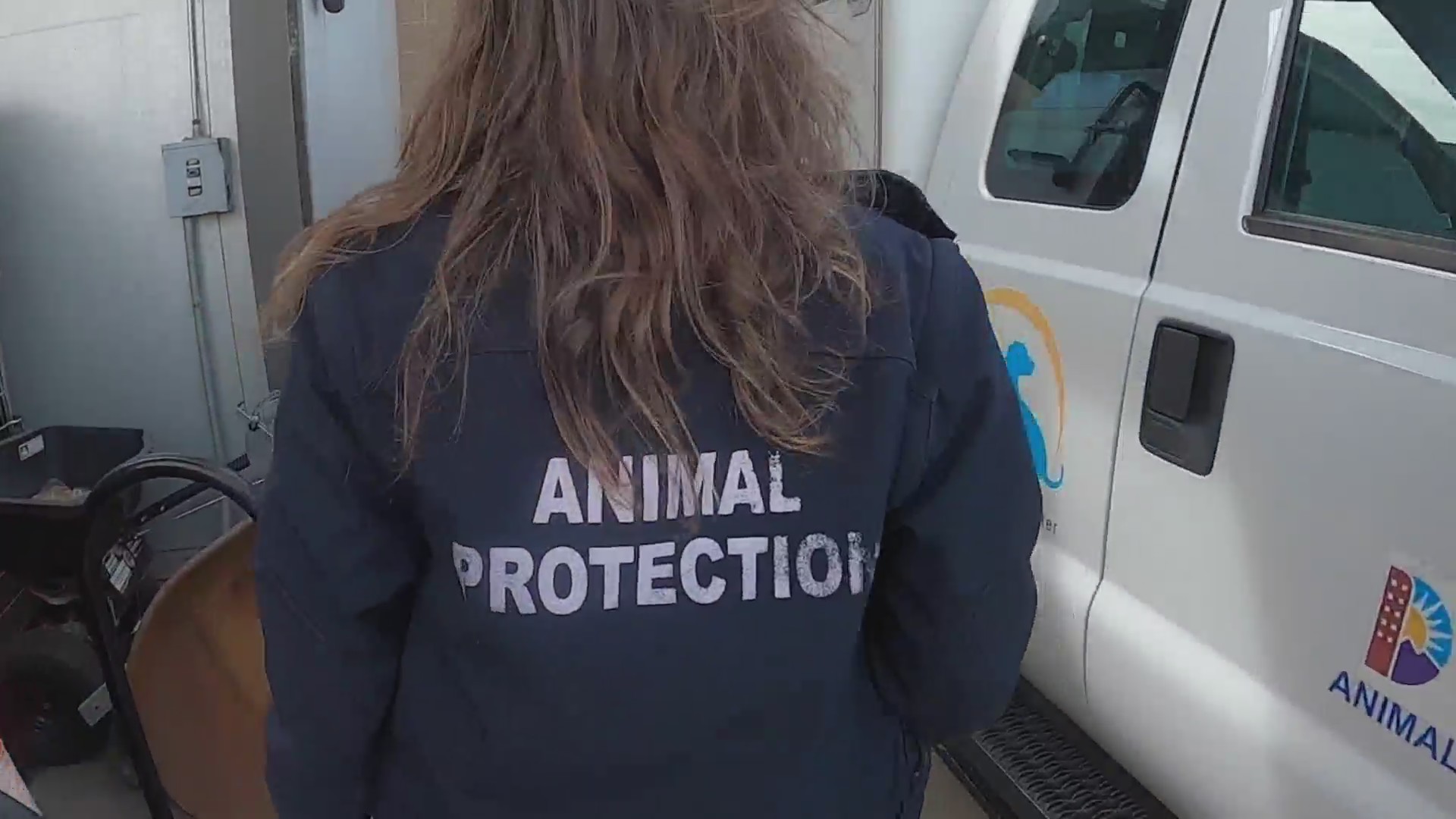 Riding along with Denver Animal Protection – FOX31 Denver