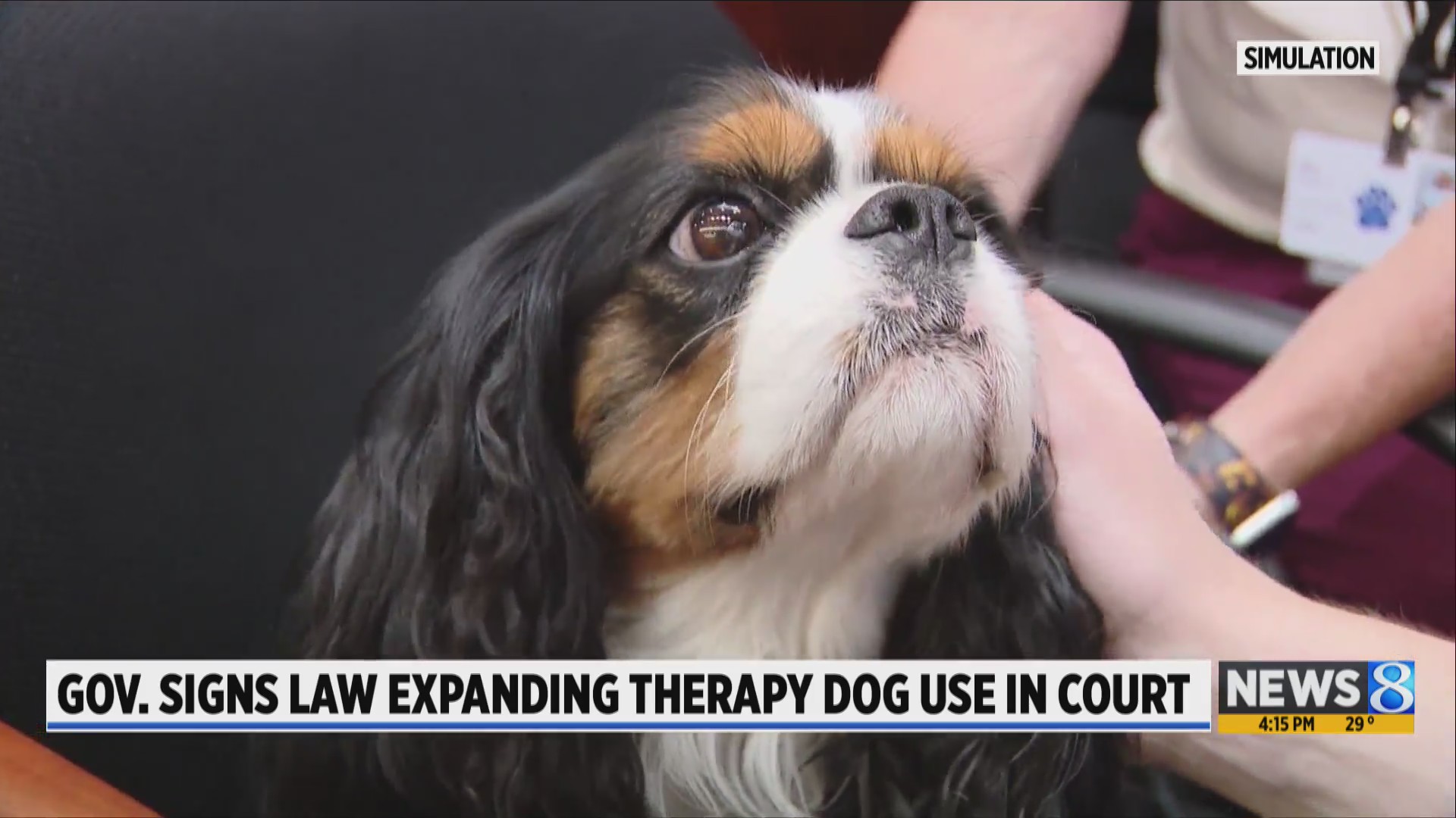 Governor signs law expanding use of therapy dogs in court – WOODTV.com