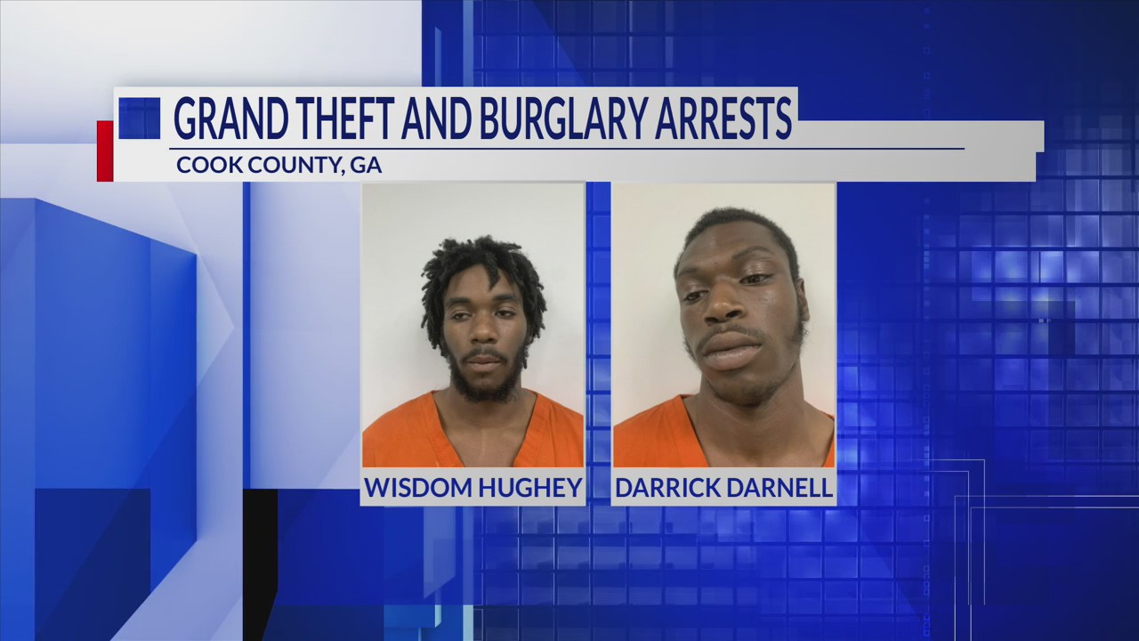 Georgia men face felony charges for Walton County crime spree ...