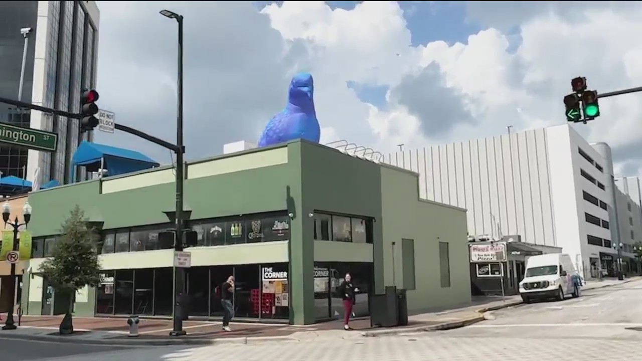 Giant inflatable pigeons pop up in downtown Orlando KSNT 27 News