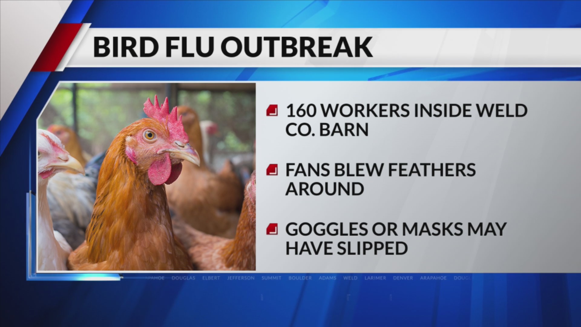 4 cases of bird flu found in Colorado poultry workers; fifth case ...
