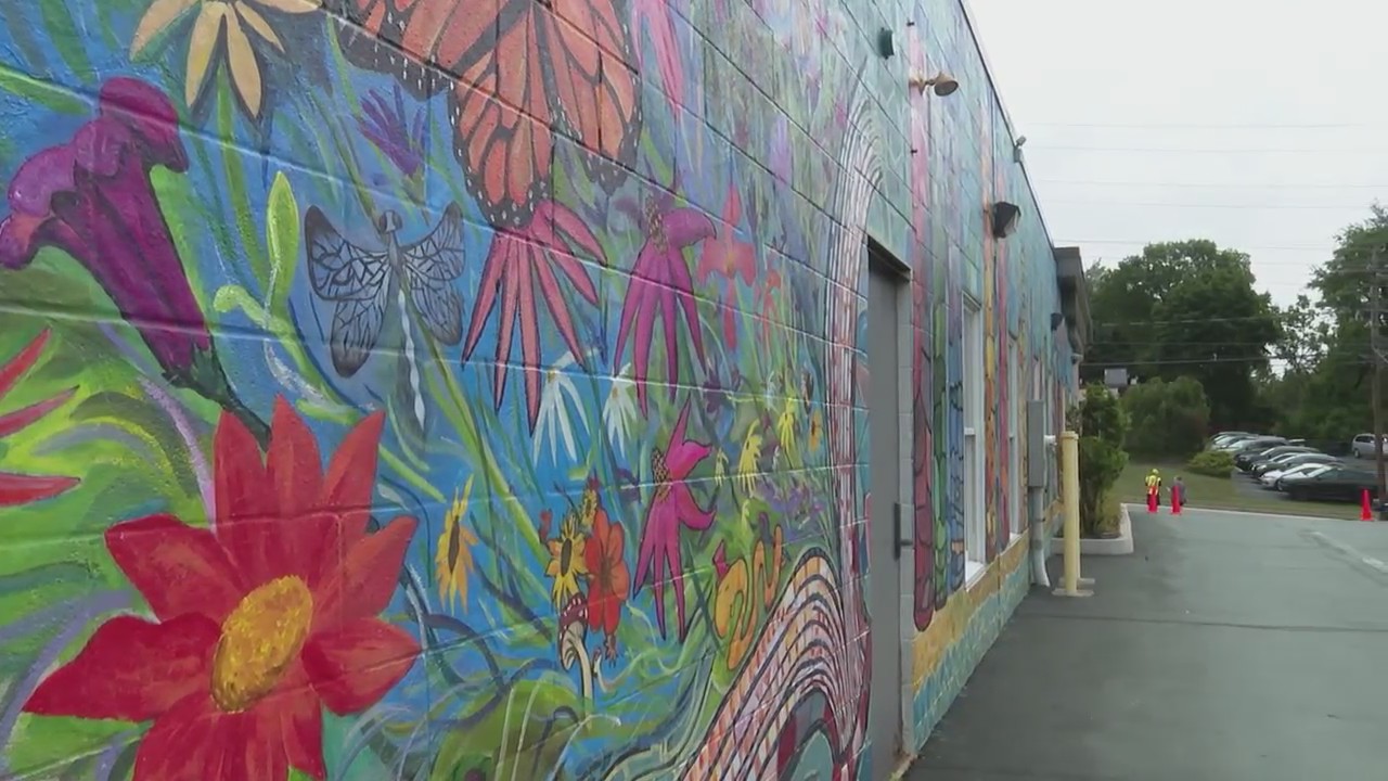 New mural dedicated at Harrisburg library ABC27