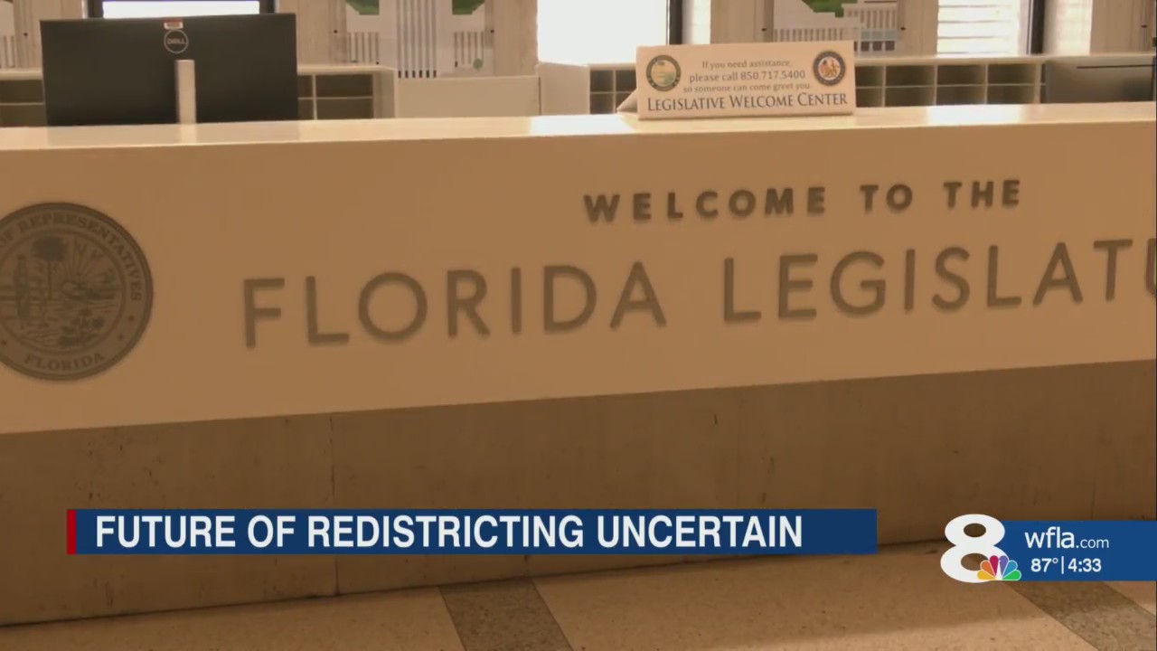 Lin Florida What happened to Florida’s congressional redistricting plans? – WFLA