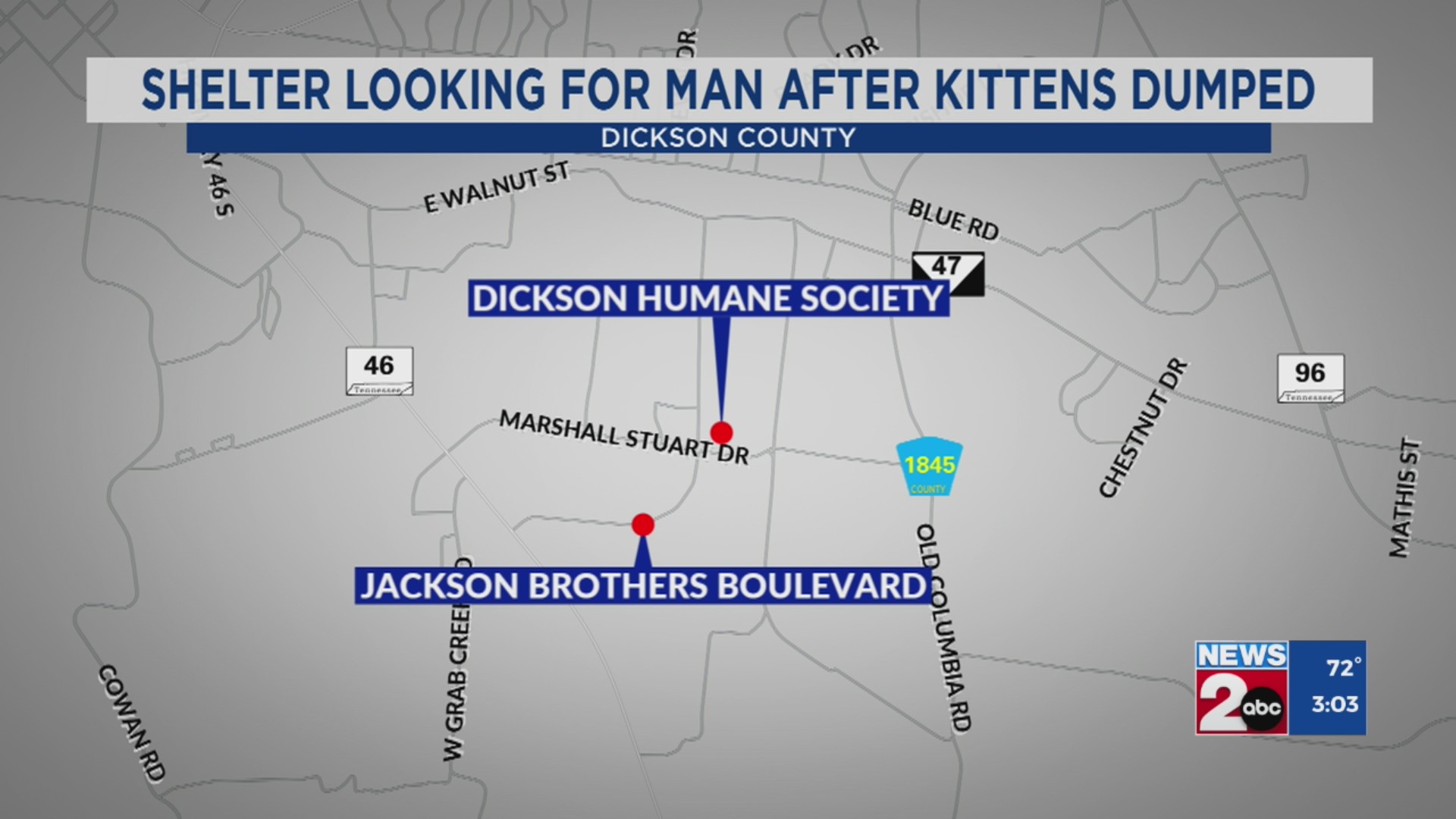 Dickson County animal shelter looking for man after kittens dumped ...