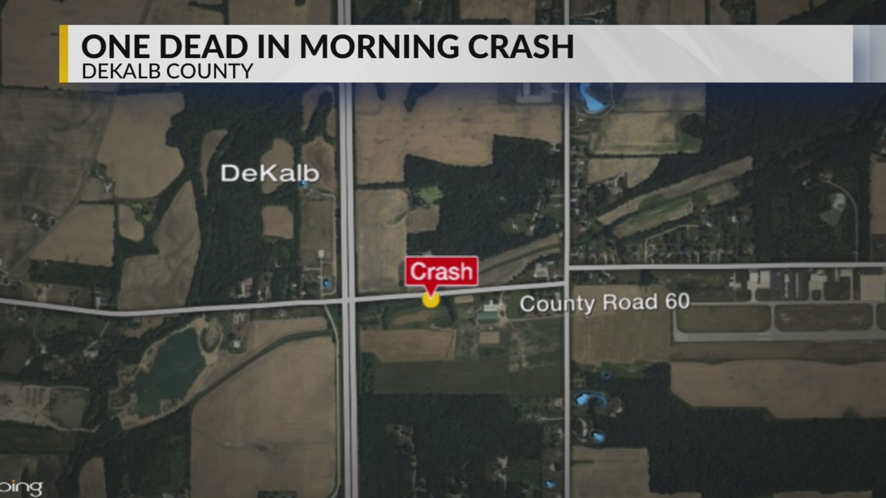 Man strikes tree in fatal DeKalb County crash – WANE 15