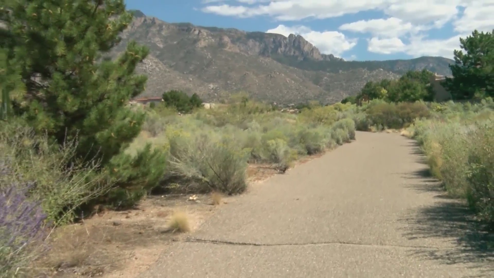 Watershed improvement plan raises concerns about arroyo landscape in