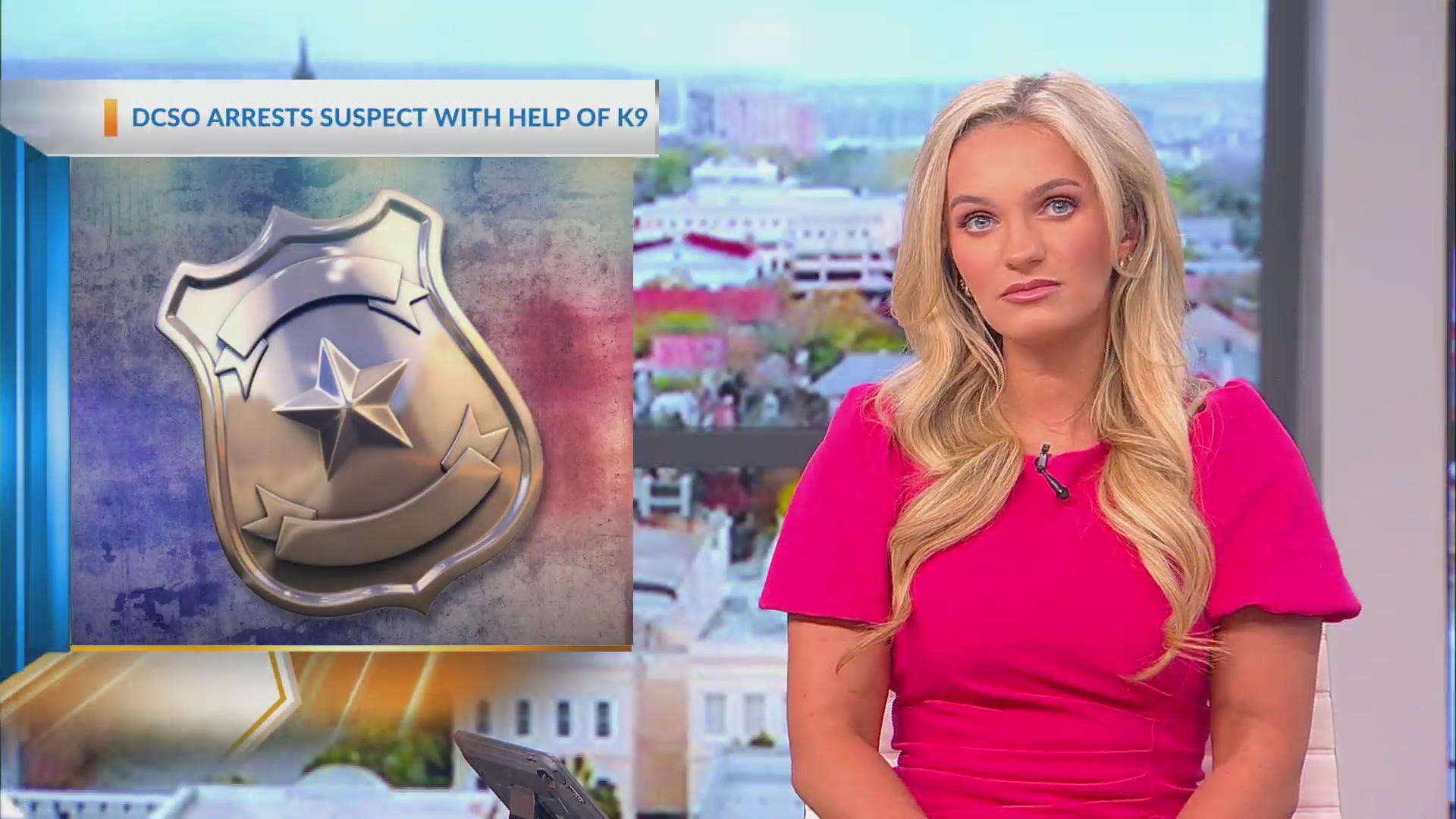 DCSO arrests suspect with K-9s help – WCBD News 2