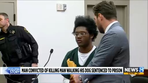 Man gets life in prison for deadly 2023 shooting – WOODTV.com