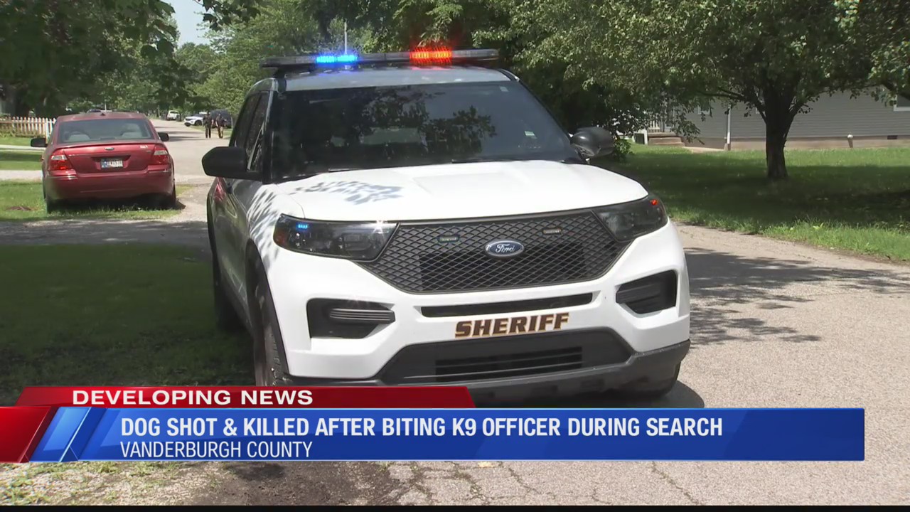 Dog shot and killed after biting K9 officer during search – Eyewitness ...