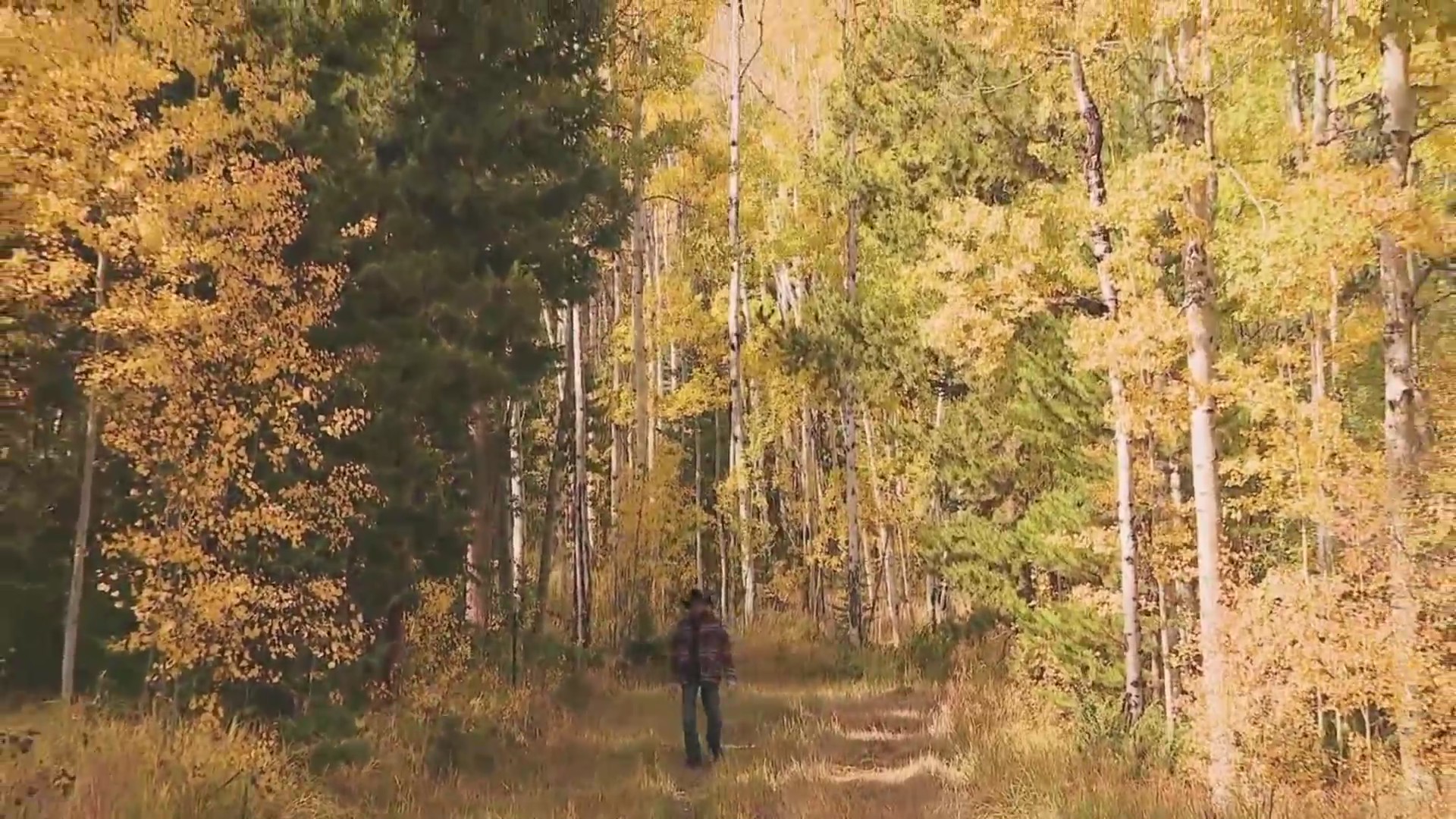 Tips for snapping photos of the fall colors in Colorado – FOX31 Denver