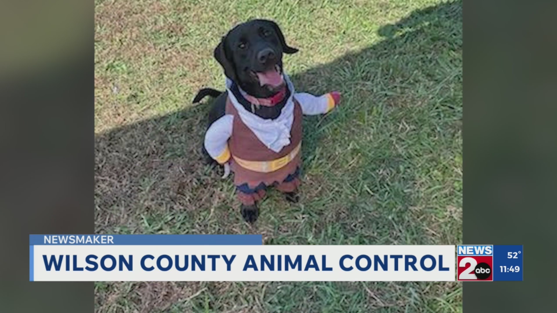 Newsmaker: Wilson County Animal Control – WKRN News 2