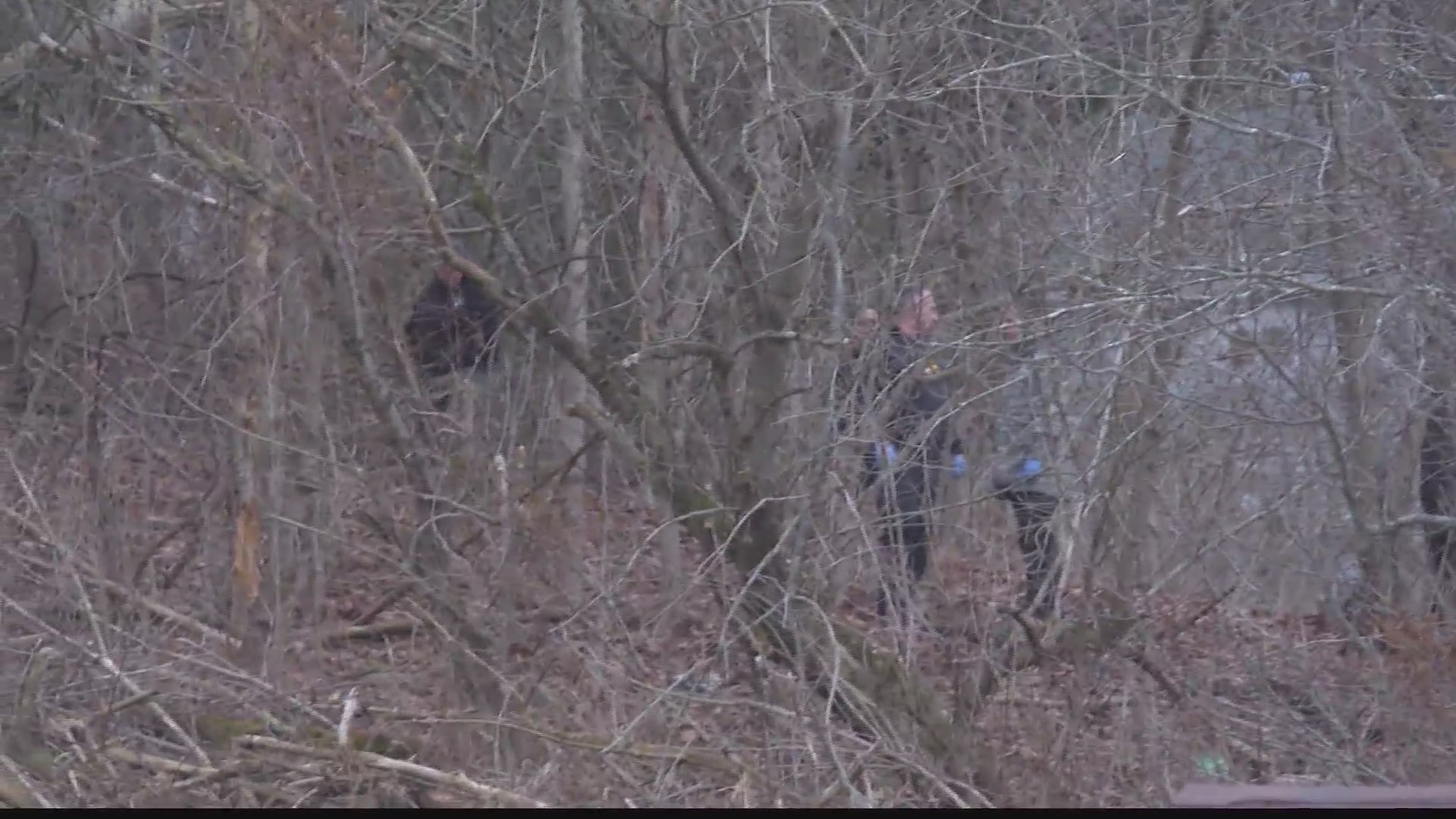 Human remains in Ohio County identified as missing Ohio man, two ...