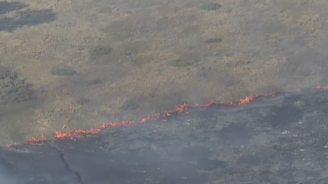 Crews battling fire near Denver water plant in Roxborough – FOX31 Denver
