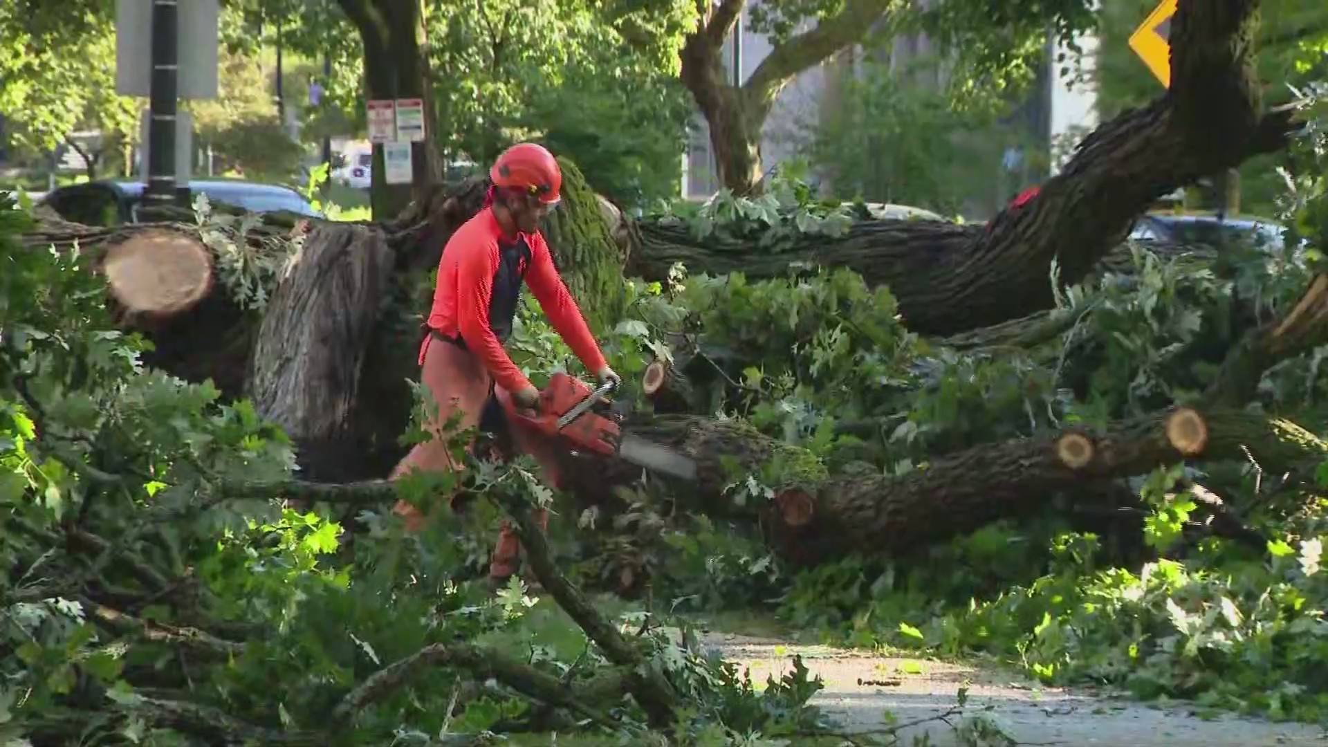 Cleanup continues after storms damage trees, power lines – WGN-TV