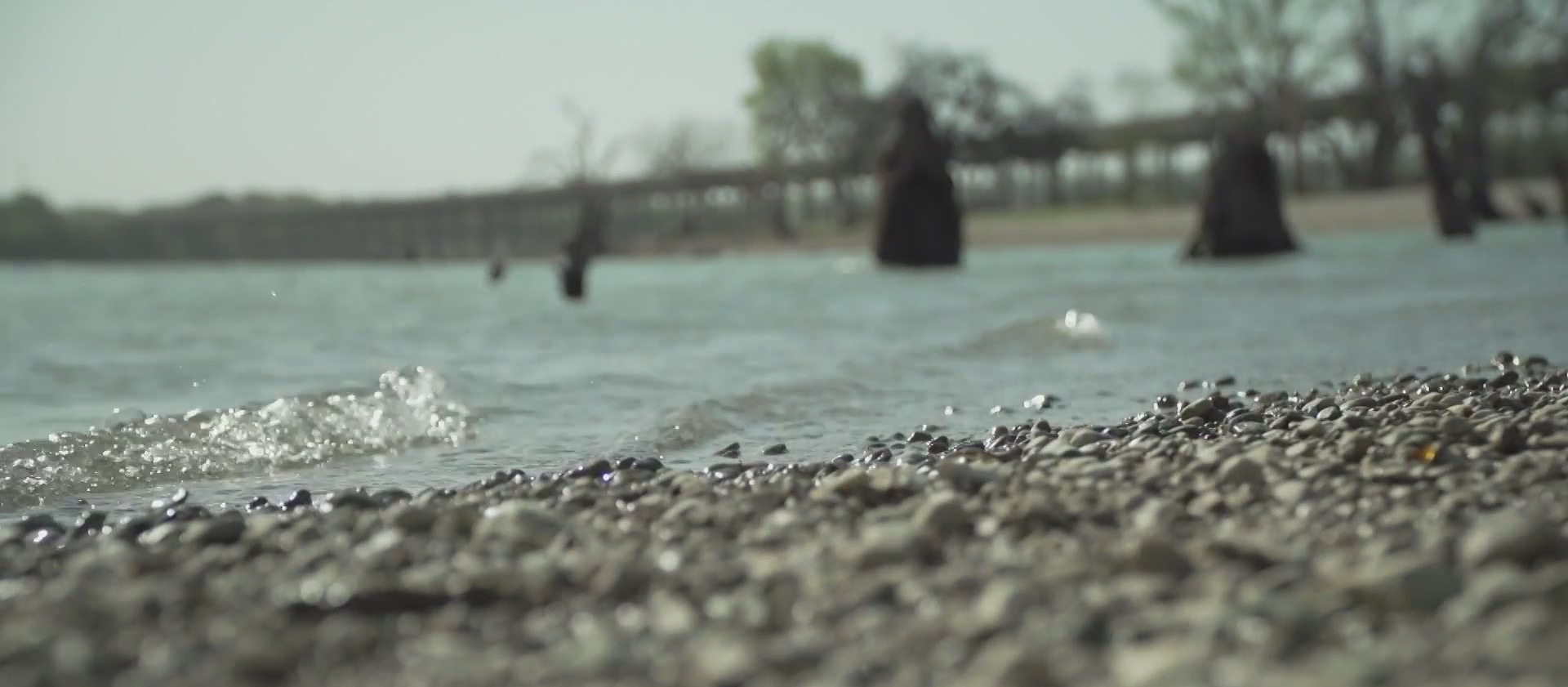 Zebra mussels eradicated from local drinking supply but survive winter