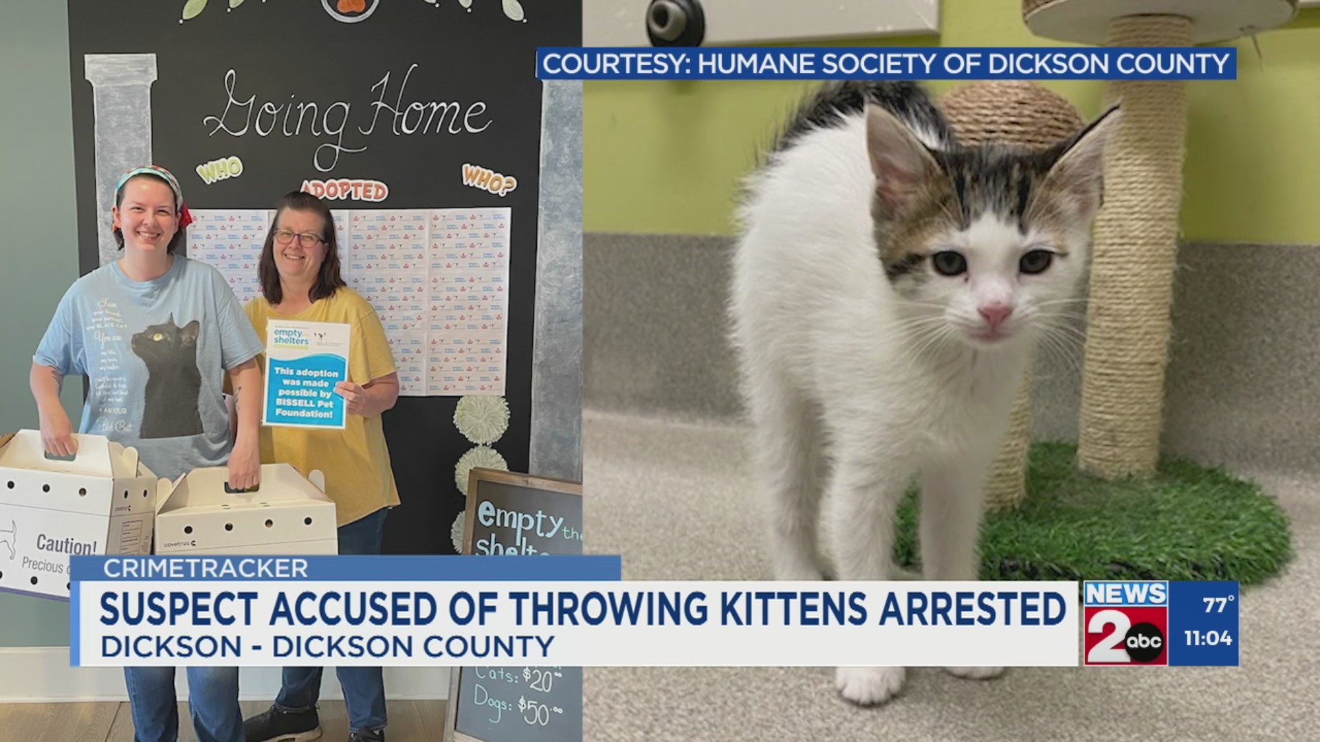 Man charged with throwing kittens in Dickson County – WKRN News 2