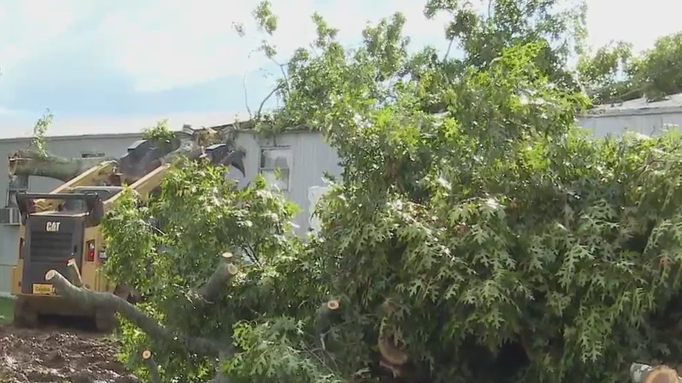 Tree falls on Surry County home – FOX8 WGHP
