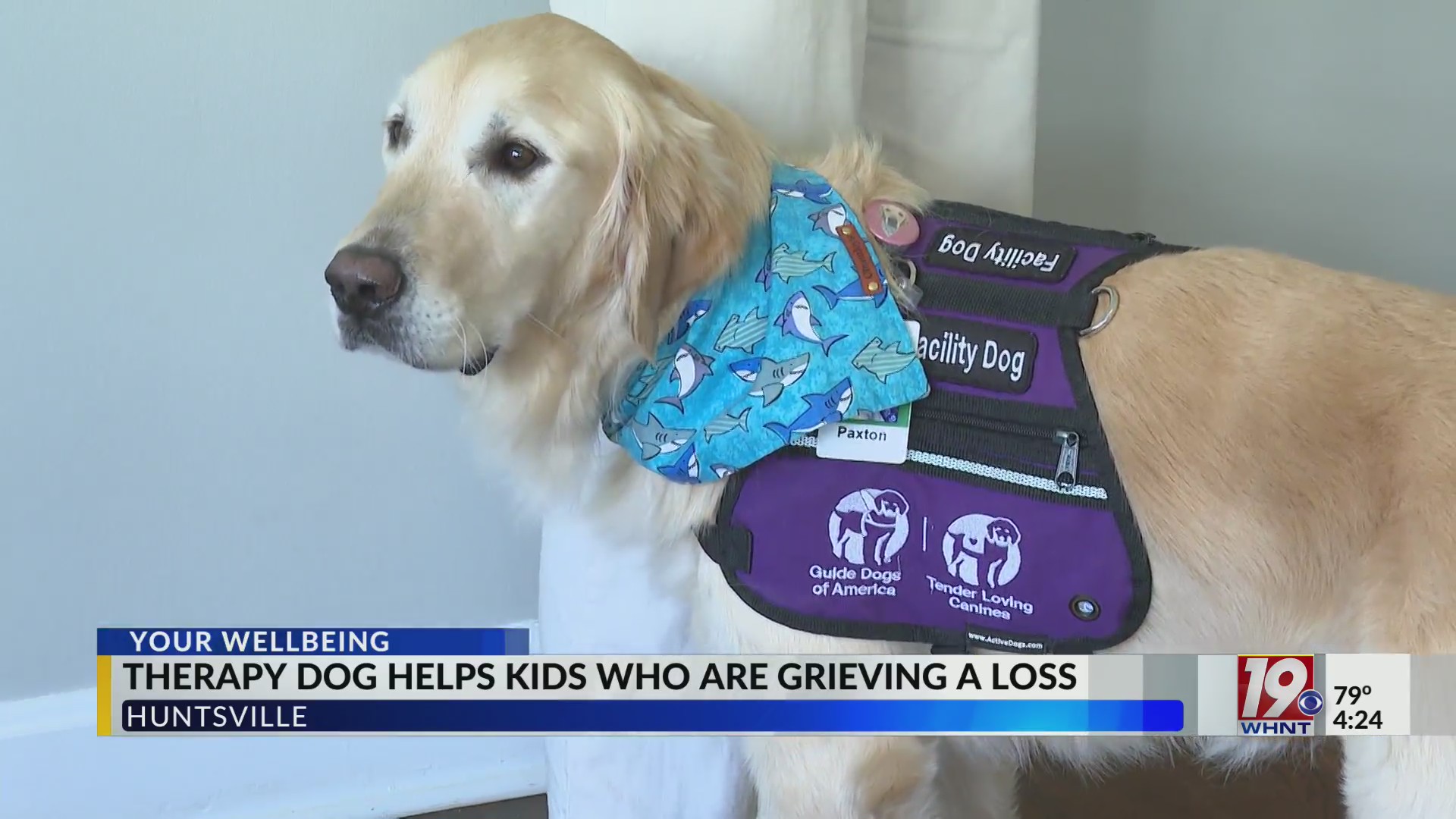 Therapy Dog Helps Kids Grieve With The Loss Of Loved Ones | August 25 ...
