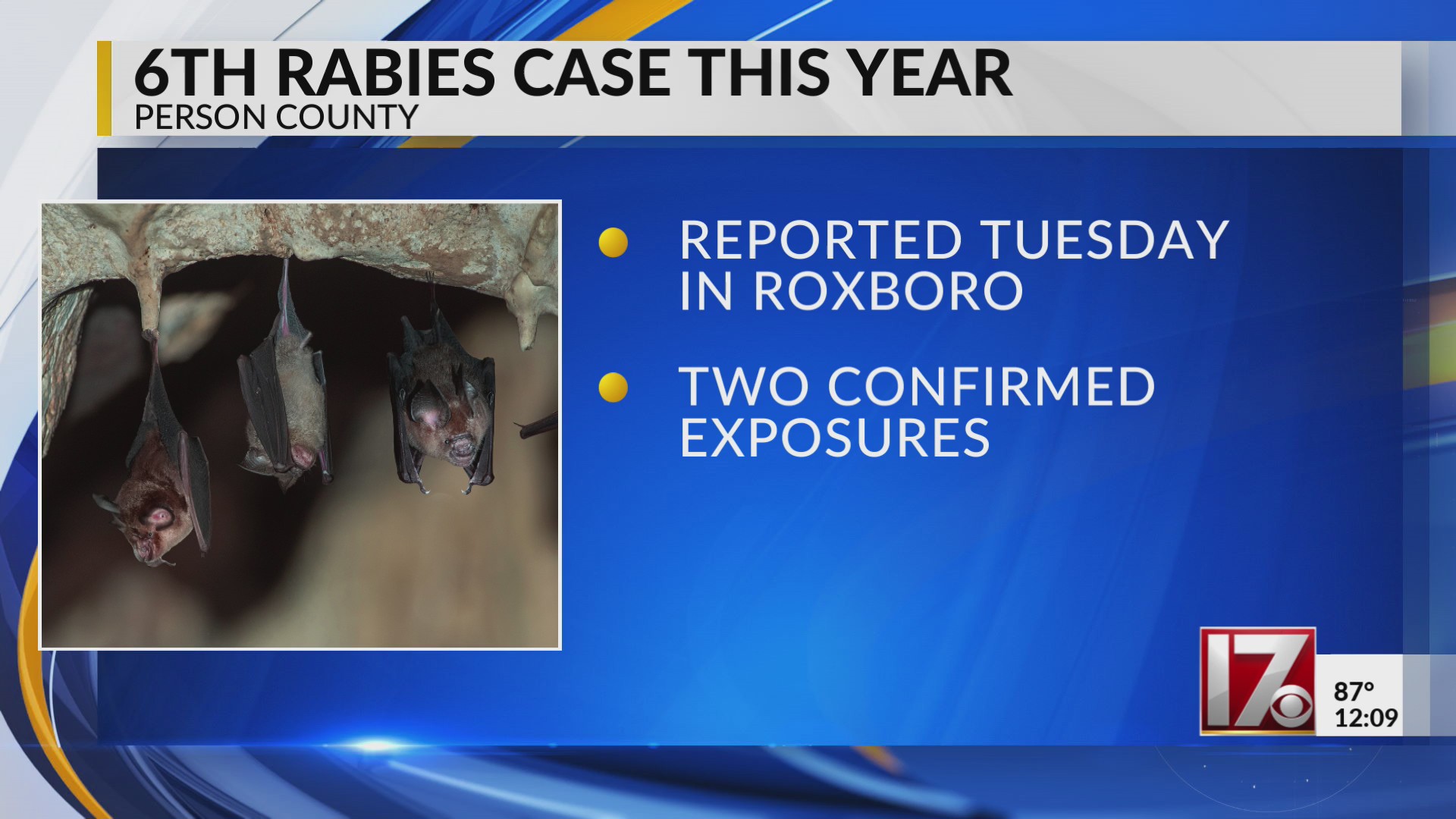 Bat exposes Person Co. to sixth rabies case in 2025: Officials – CBS17.com