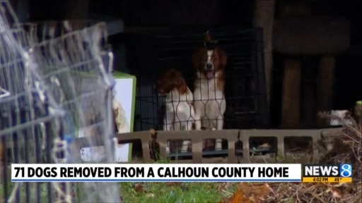 71 dogs removed from a Calhoun County home – WOODTV.com