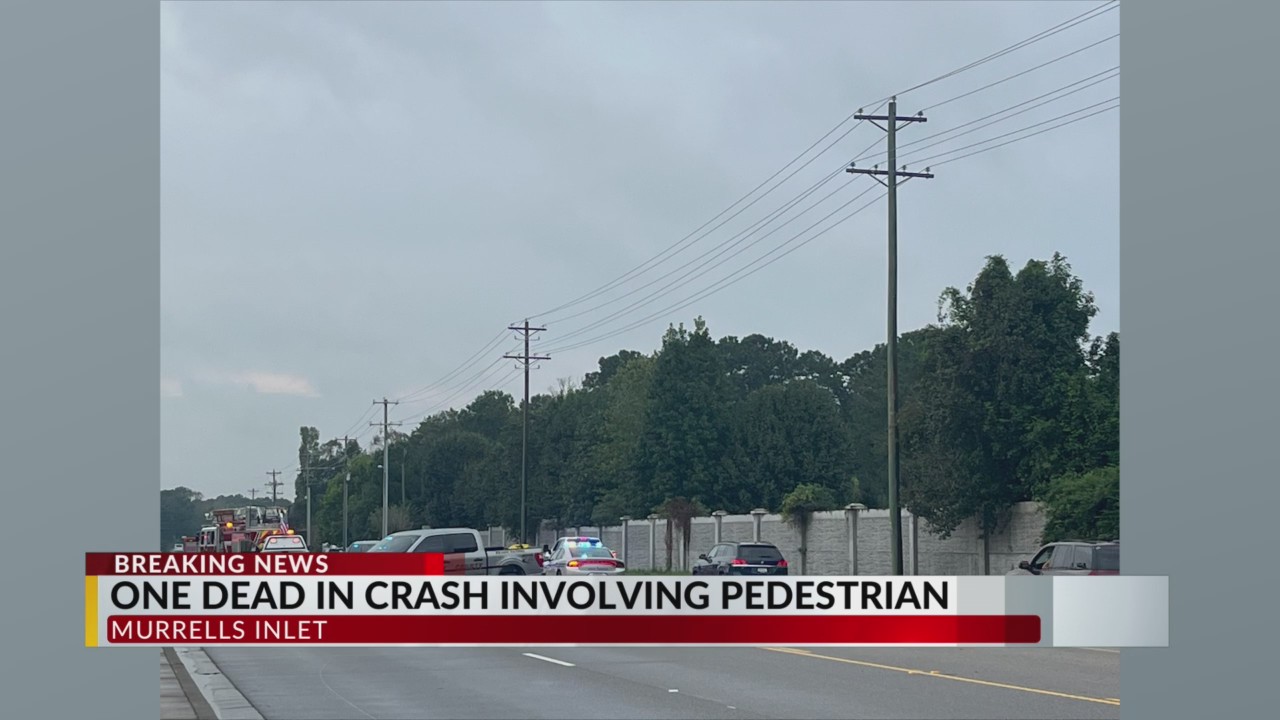 One person dead in crash involving pedestrian on Highway 707 – WBTW