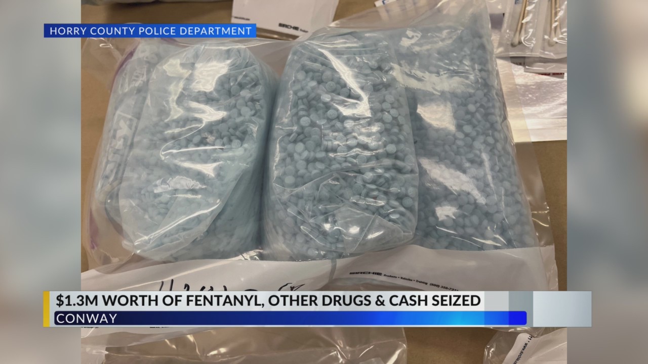 Horry County Police Department seizes more than $1M worth of fentanyl ...