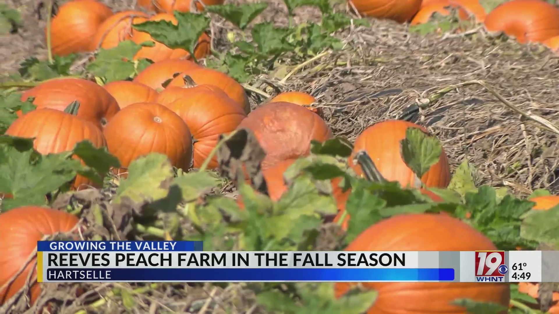 Growing The Valley: Fall Season | October 28, 2025 | News 19 at 4:30 p ...