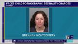 Woman accused of having child porn, animal sex acts