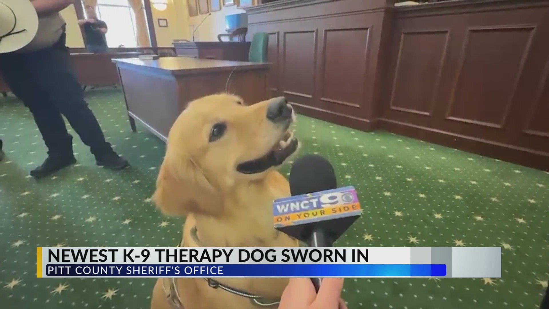K9 Deputy Barkley sworn into Pitt County Sheriff’s Office – WNCT