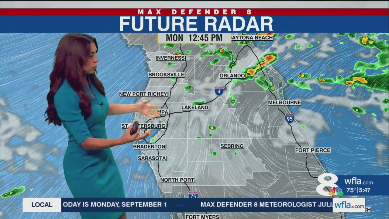 Drier conditions for Labor Day in Tampa Bay – WFLA