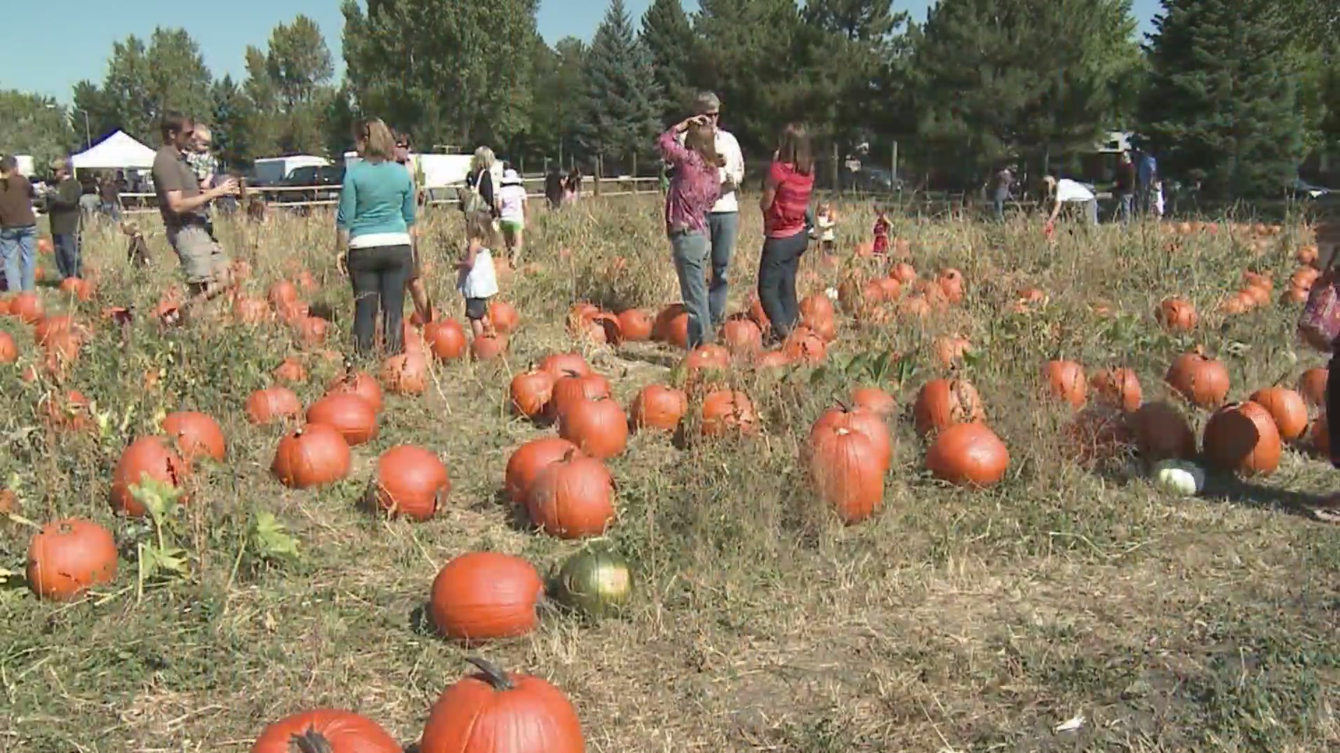 2024 has the hottest start to fall in Denver history – FOX31 Denver
