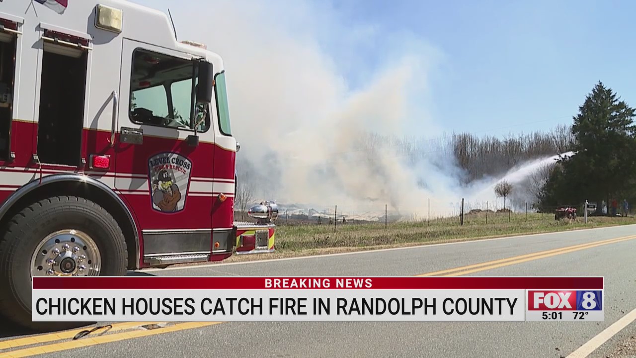 Chicken houses catch fire in Randolph County – FOX8 WGHP
