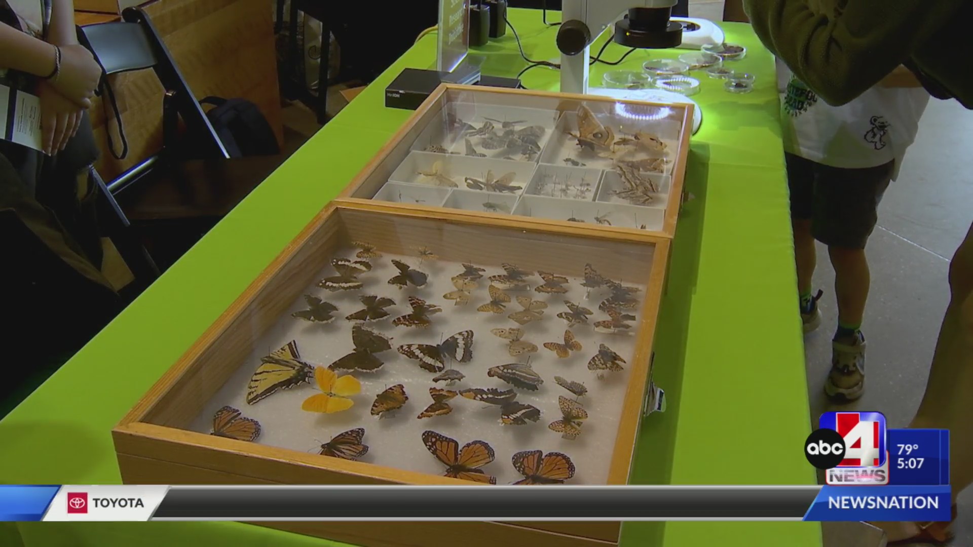 Utah’s “tiny critters” on display during Bugfest – ABC4 Utah